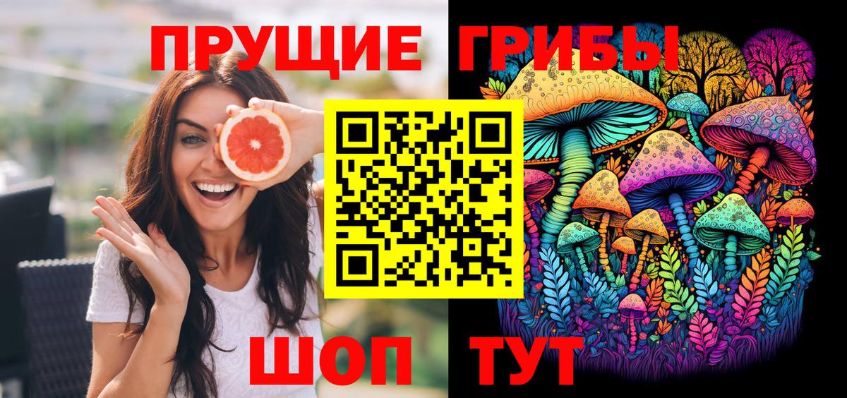 Галлюциногенные грибы GOLDEN TEACHER  где купить наркоту  Вход с VPN  Черногорск  Галлюциногенные грибы мицелий 
